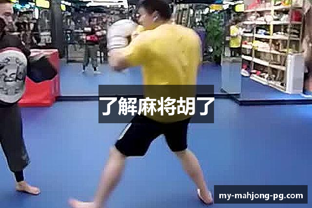了解麻将胡了